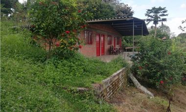 se vende finca en Alcala