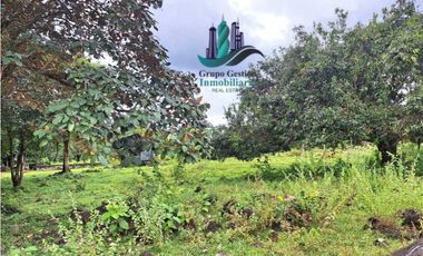 VENDO FINCA DE 12810MTS TOPOGRAFIA PLANA