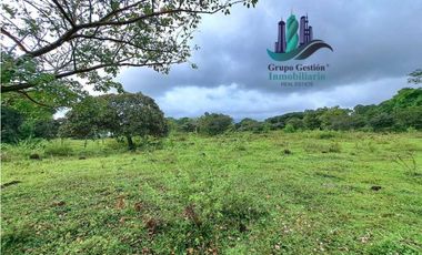 VENDO FINCA DE 12810MTS TOPOGRAFIA PLANA