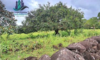 VENDO FINCA DE 12810MTS TOPOGRAFIA PLANA