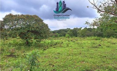 VENDO FINCA DE 12810MTS TOPOGRAFIA PLANA