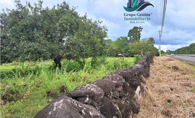 VENDO FINCA DE 12810MTS TOPOGRAFIA PLANA