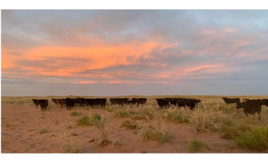 Casa en venta en Santa Rosa, Capital