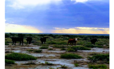 Casa en venta en Algarrobo del Águila, Chical Co