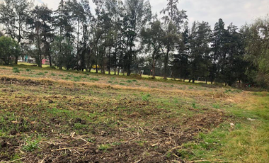 TERRENO EN RENTA EN CUAUTITLÁN