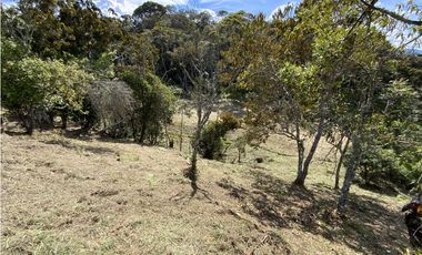 Lote Parcelacion Via San Antonio La Ceja