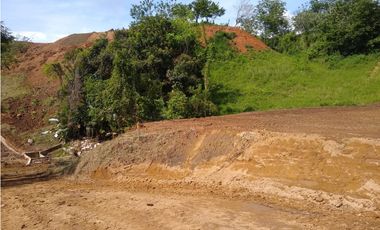 VENTA LOTE SANTAGUEDA, PALESTINA | LOTES EN VENTA