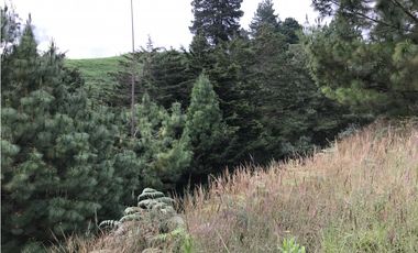 Venta Lote El Retiro