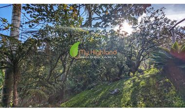 Finca Para La Renta En Guarne Con Casa y Bodega
