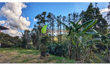 Finca Para La Renta En Guarne Con Casa y Bodega
