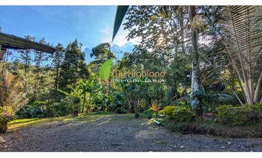 Finca Para La Renta En Guarne Con Casa y Bodega
