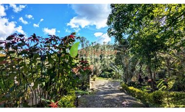 Finca Para La Renta En Guarne Con Casa y Bodega
