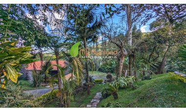 Finca Para La Renta En Guarne Con Casa y Bodega