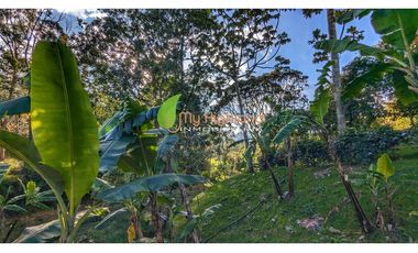 Finca Para La Renta En Guarne Con Casa y Bodega