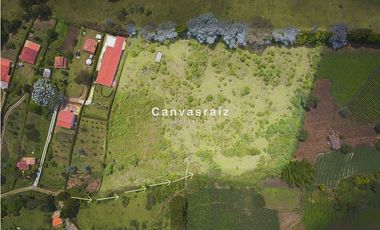 Venta de Lote Independiente Vereda La Mosquita