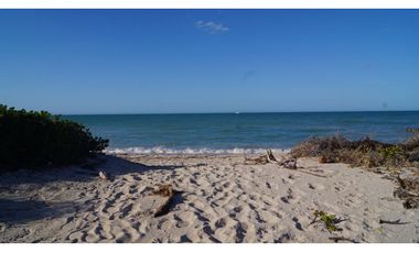 Venta Casa de un piso en Chuburna Puerto Mérida Yucatan