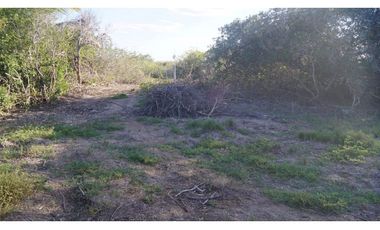 Venta Casa Villa de un piso en Chuburna Puerto Mérida Yucatán