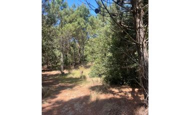 LOTE EN VENTA - GOLF II 544 - COSTA ESMERALDA