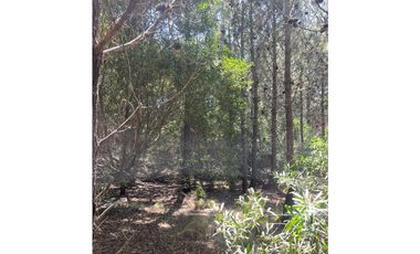 LOTE EN VENTA - GOLF II 544 - COSTA ESMERALDA