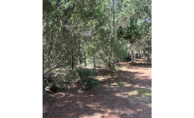 LOTE EN VENTA - GOLF II 544 - COSTA ESMERALDA