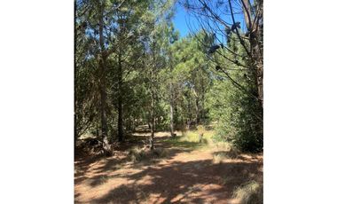 LOTE EN VENTA - GOLF II 544 - COSTA ESMERALDA