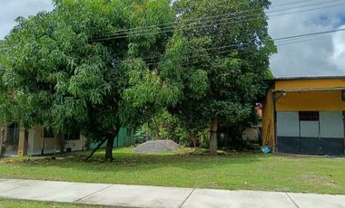 VENDO LOTE CON GALERA O BODEGA