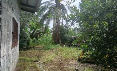 VENDO CASA EN CHIRIQU TIJERAS BOQUERON