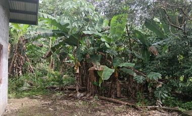 VENDO CASA EN CHIRIQU TIJERAS BOQUERON