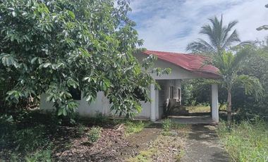 VENDO CASA EN CHIRIQU TIJERAS BOQUERON