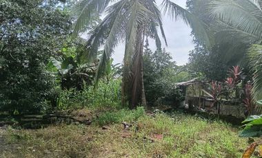 VENDO CASA EN CHIRIQU TIJERAS BOQUERON