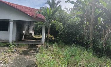 VENDO CASA EN CHIRIQU TIJERAS BOQUERON