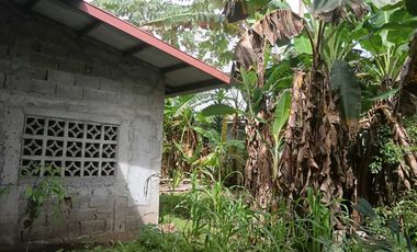 VENDO CASA EN CHIRIQU TIJERAS BOQUERON