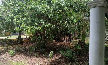 VENDO CASA EN CHIRIQU TIJERAS BOQUERON