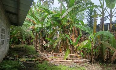 VENDO CASA EN CHIRIQU TIJERAS BOQUERON