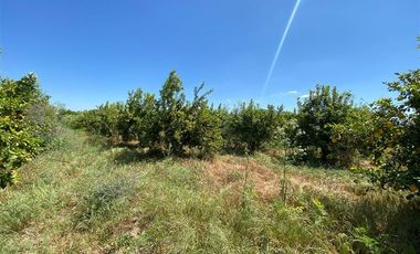 Sitio en Venta en Los Panguiles / Derechos de Agua