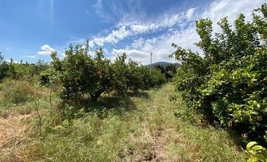 Sitio en Venta en Los Panguiles / Derechos de Agua