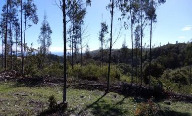 EXCELENTE OPORTUNIDAD EN QUINCHEUMO