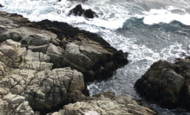 EXCELENTE OPORTUNIDAD EN QUINCHEUMO