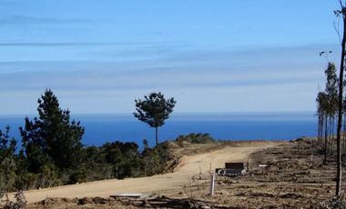 EXCELENTE OPORTUNIDAD EN QUINCHEUMO