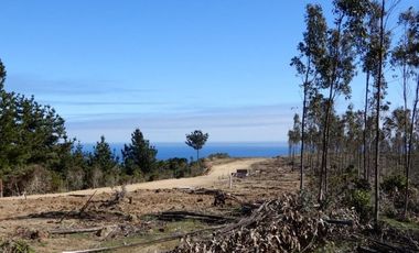 EXCELENTE OPORTUNIDAD EN QUINCHEUMO