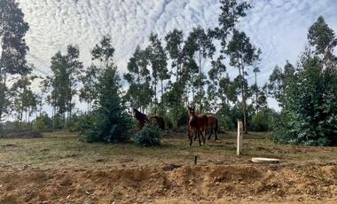 EXCELENTE OPORTUNIDAD EN QUINCHEUMO