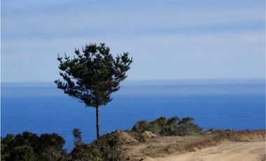 EXCELENTE OPORTUNIDAD EN QUINCHEUMO