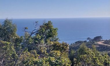 A 350m de la Playa con acceso directo