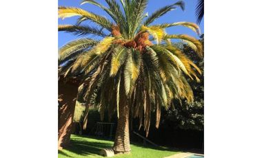 Se vende casa  en barrio residencial en San Felipe