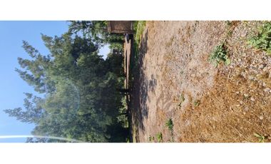 Se vende sitio en San Damian, Lo Fontecilla