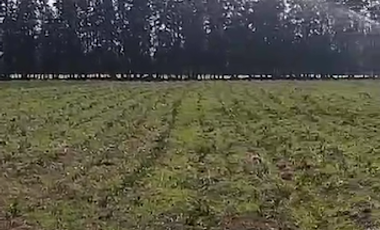 VENTA de CASAS en TENJO