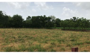 SE VENDE HERMOSA CASA FINCA CERCA DE MONTERIA