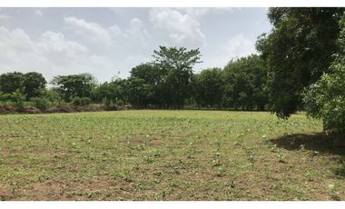 SE VENDE HERMOSA CASA FINCA CERCA DE MONTERIA