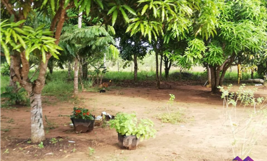 Finca en Puerto Lopez para Venta o Permuta