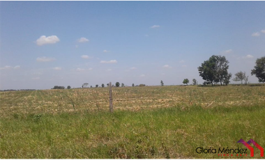 Finca en Puerto Lopez para Venta o Permuta